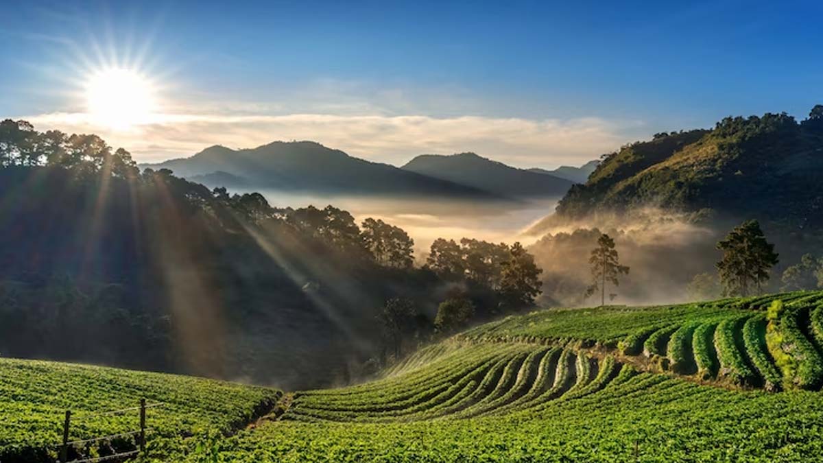 Assam Tour